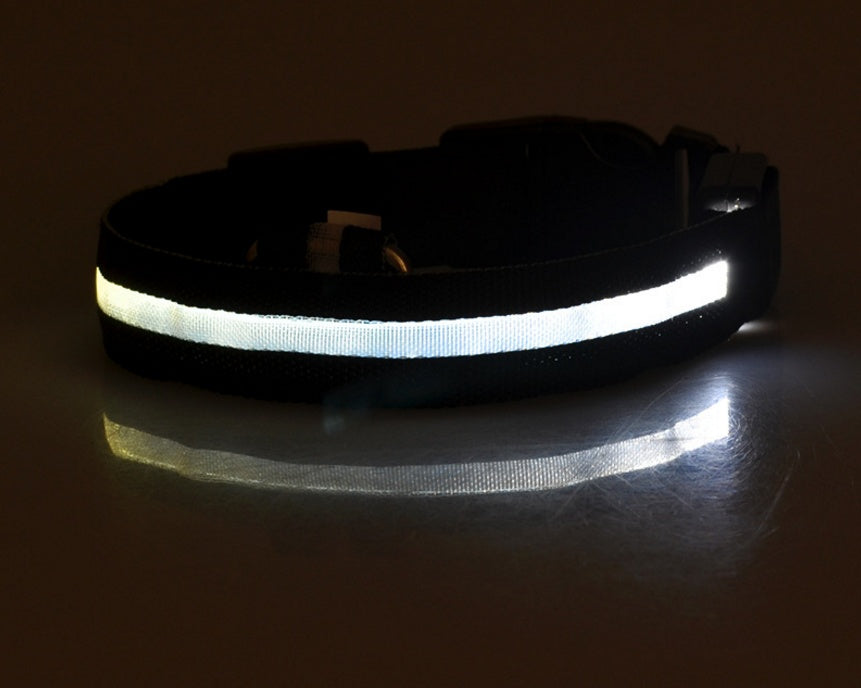 LED-halsband för hund & katt – Självlysande, blinkande & justerbart