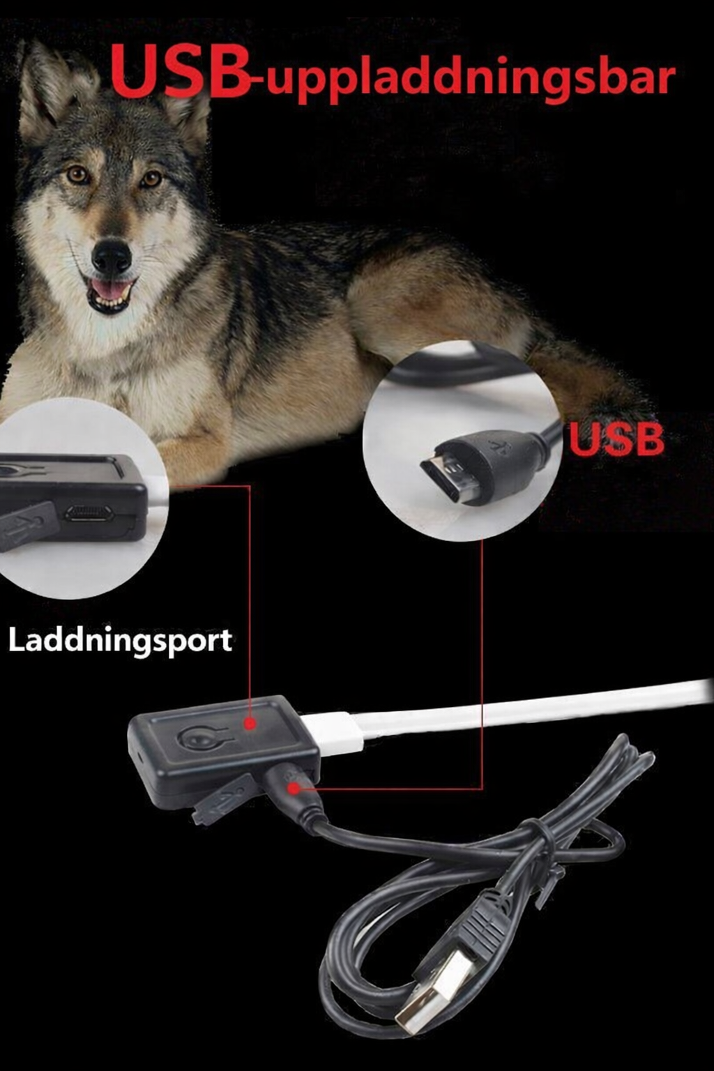 LED-halsband för hund & katt – Självlysande, blinkande & justerbart