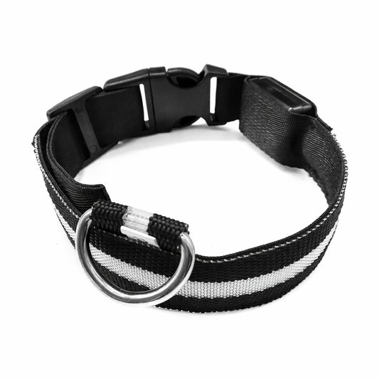 LED-halsband för hund & katt – Självlysande, blinkande & justerbart
