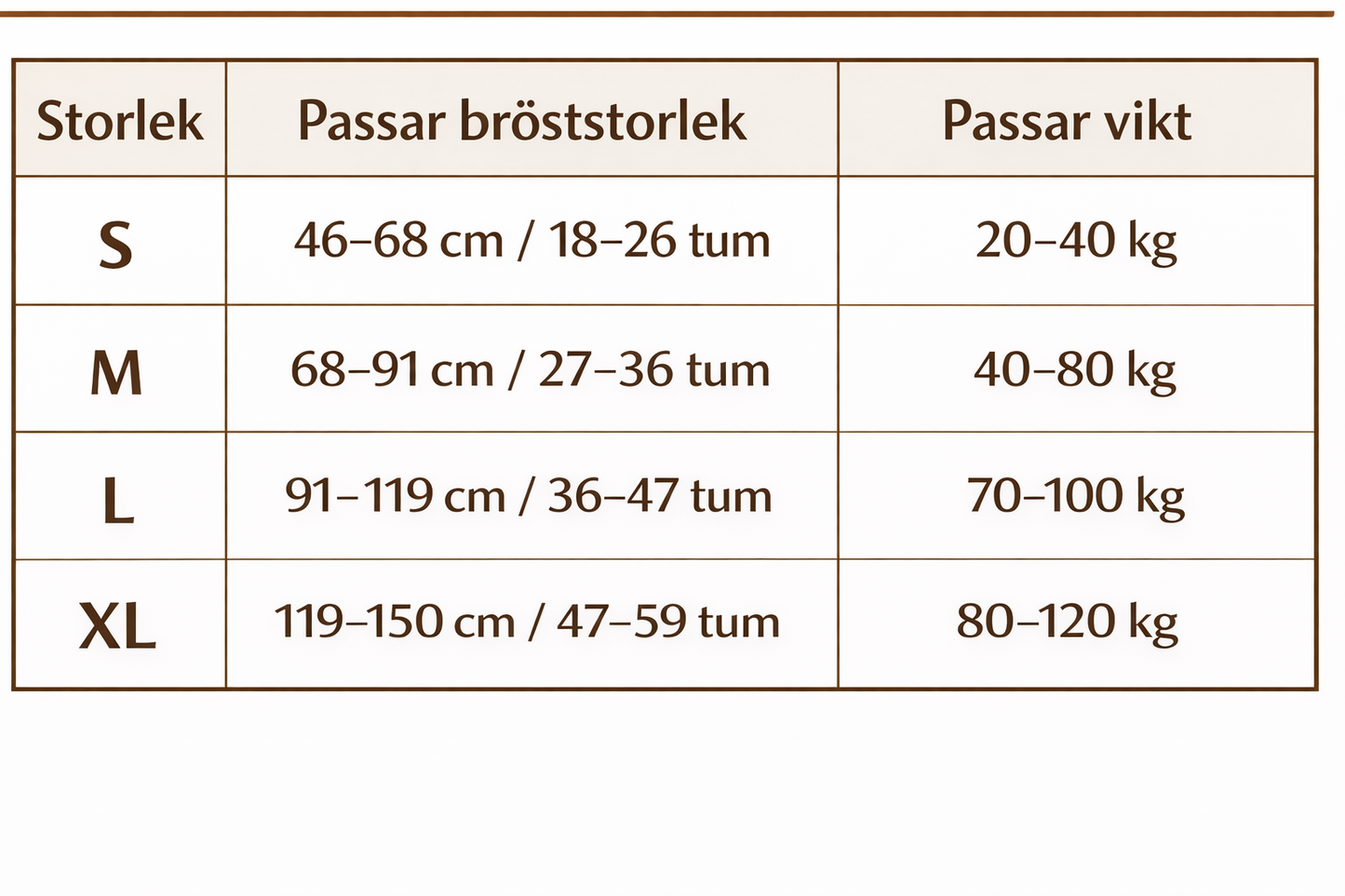 Ryggbälte för bättre hållning - Ergonomiskt ryggstöd för rakare hållning och minskad ryggsmärta